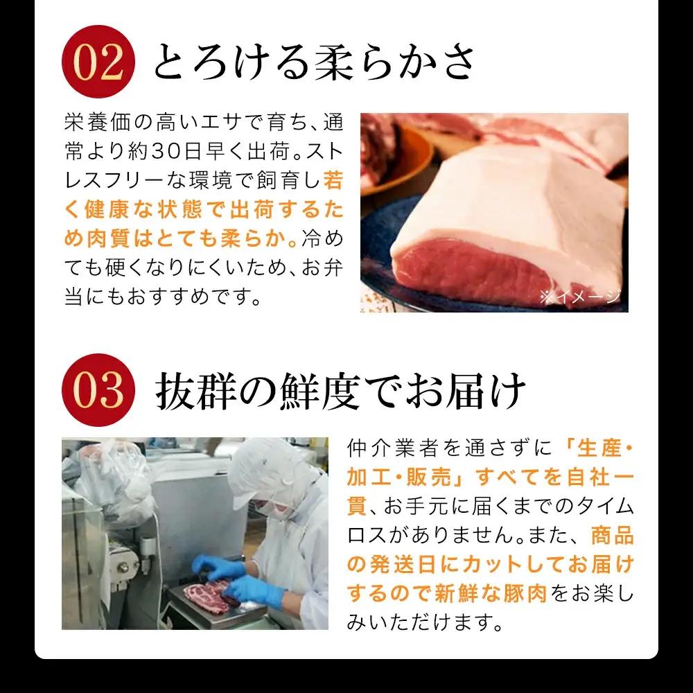 JAPAN X 豚ロースステーキ15枚/計1.5kg　【04301-0051】