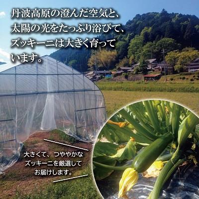 ふるさと納税 京丹波町 《予約受付》 京都 京丹波ズッキーニ 30本 約6kg |  | 02