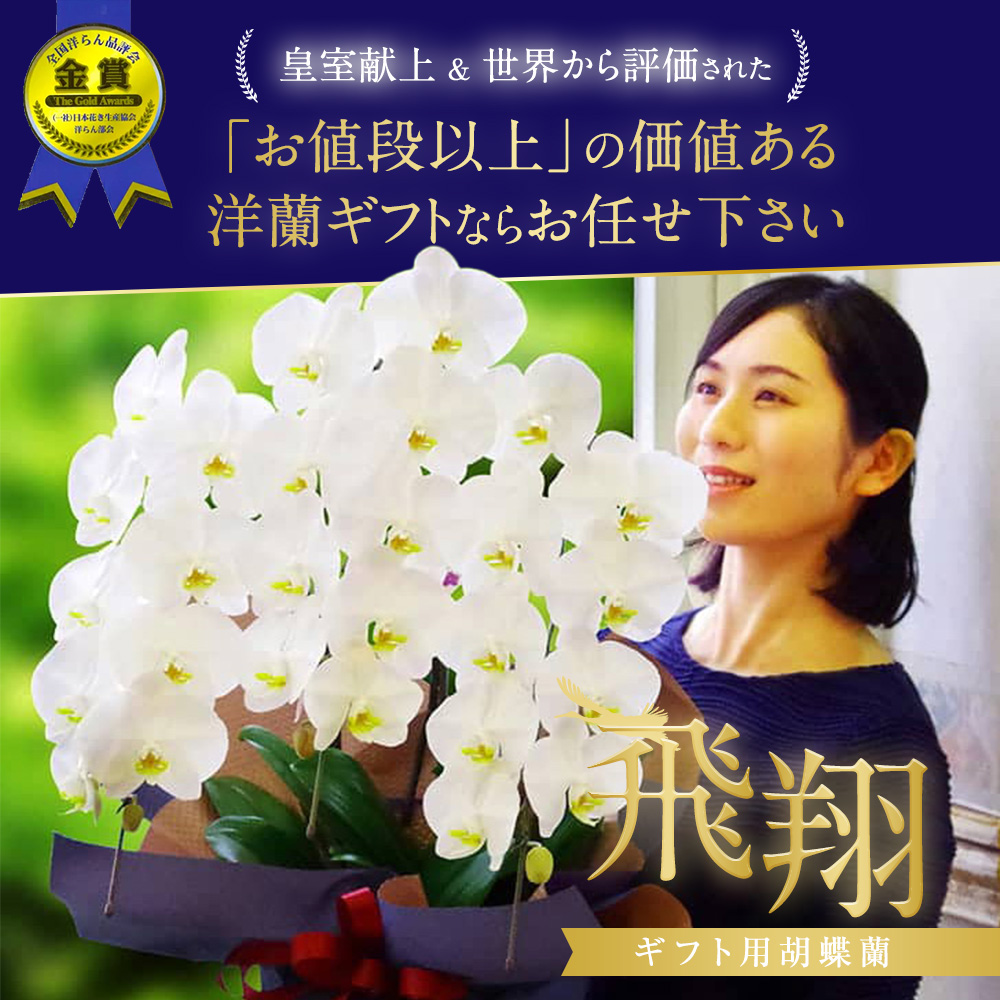 【森水木のラン屋さん】大輪胡蝶蘭 3本立ち