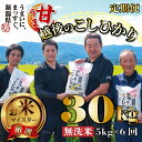 【ふるさと納税】無洗米 コシヒカリ 定期便 5kg 6ヵ月 30kg 甘うま越後のこしひかり 越後 えちご 特別栽培米 新潟 コメ こめ お米 米 しんまい 新潟県 新潟米 新発田市 新発田産 toushin007