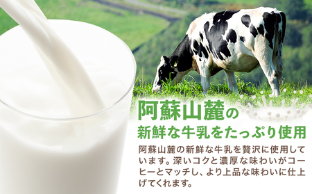 【3ヶ月定期便】常温保存可能 コーヒー 250ml × 24本 計72本 合同会社たべたせいか《申込月の翌月から出荷開始》熊本県 菊池市 コーヒー牛乳 カフェオレ 珈琲 らくのうマザーズ 薫るエスプレ