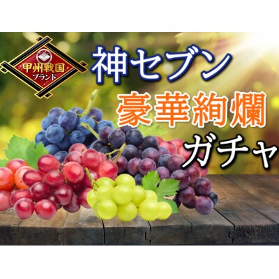 【甲州戦国高級ブランド葡萄】圧倒的人気トップ7食べ比べガチャセット約1kg2種　2026年予約【配送不可地域：離島】【1579835】