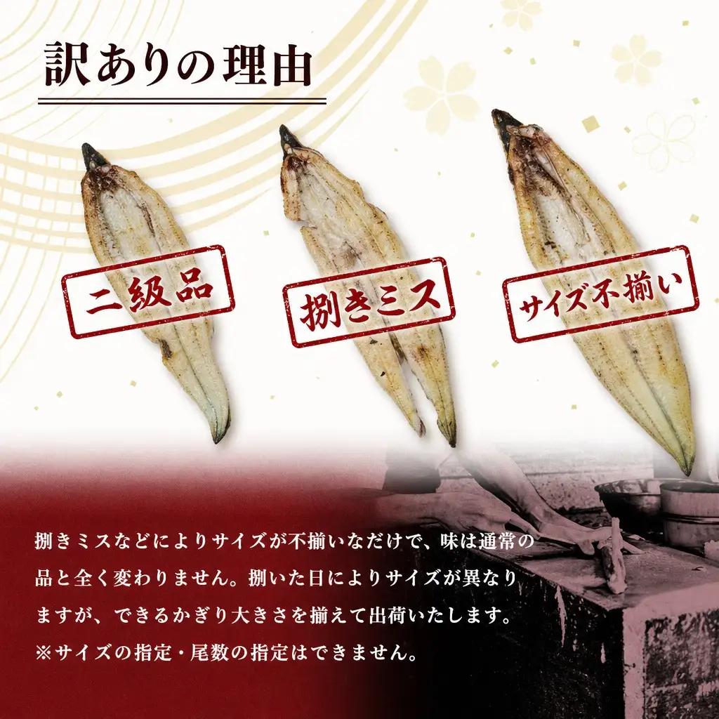訳あり うなぎ白焼き 計1kg（4～10尾入り）不揃い バラツキ 数量限定 宮崎県産 冷凍 蒲焼タレ付 2週間以内出荷【E224】