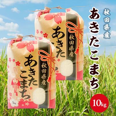 ふるさと納税 横手市 あきたこまち 10kg【白米】秋田県産 こまちライン