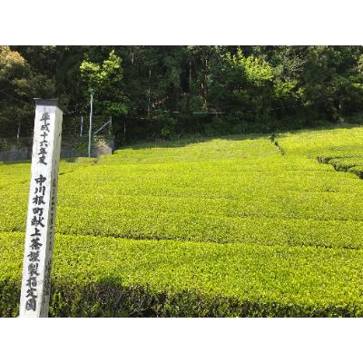 ふるさと納税 川根本町 川根本町産 川根銘茶 上級品から日常のお茶まで通も満足セット　129-1 |  | 01