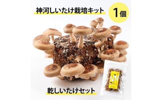 神河しいたけ栽培キット(しいたけ菌床)1個と乾しいたけセット　※10月～4月発送【1355227】