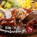 【ふるさと納税】和牛日本一 黒豚 × 黒牛 ハンバーグ 9個 セット 送料無料 鹿児島市 九州 お取り寄せ 特産品 地域の品 お土産 プレゼント 真空パック 厳選 高品質 鹿児島県産黒毛和牛 黒毛和牛 経産牛 和牛 牛 豚肉 豚 食品 バーグ 加工品 惣菜 肉汁 生ハンバーグ グルメ