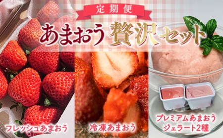 【定期便】あまおう贅沢セット(フレッシュあまおうDX2パック、冷凍あまおう1.5kg、あまおうジェラート2種)　先行予約　※2025年3月上旬から7月のお届けとなります。　MY007