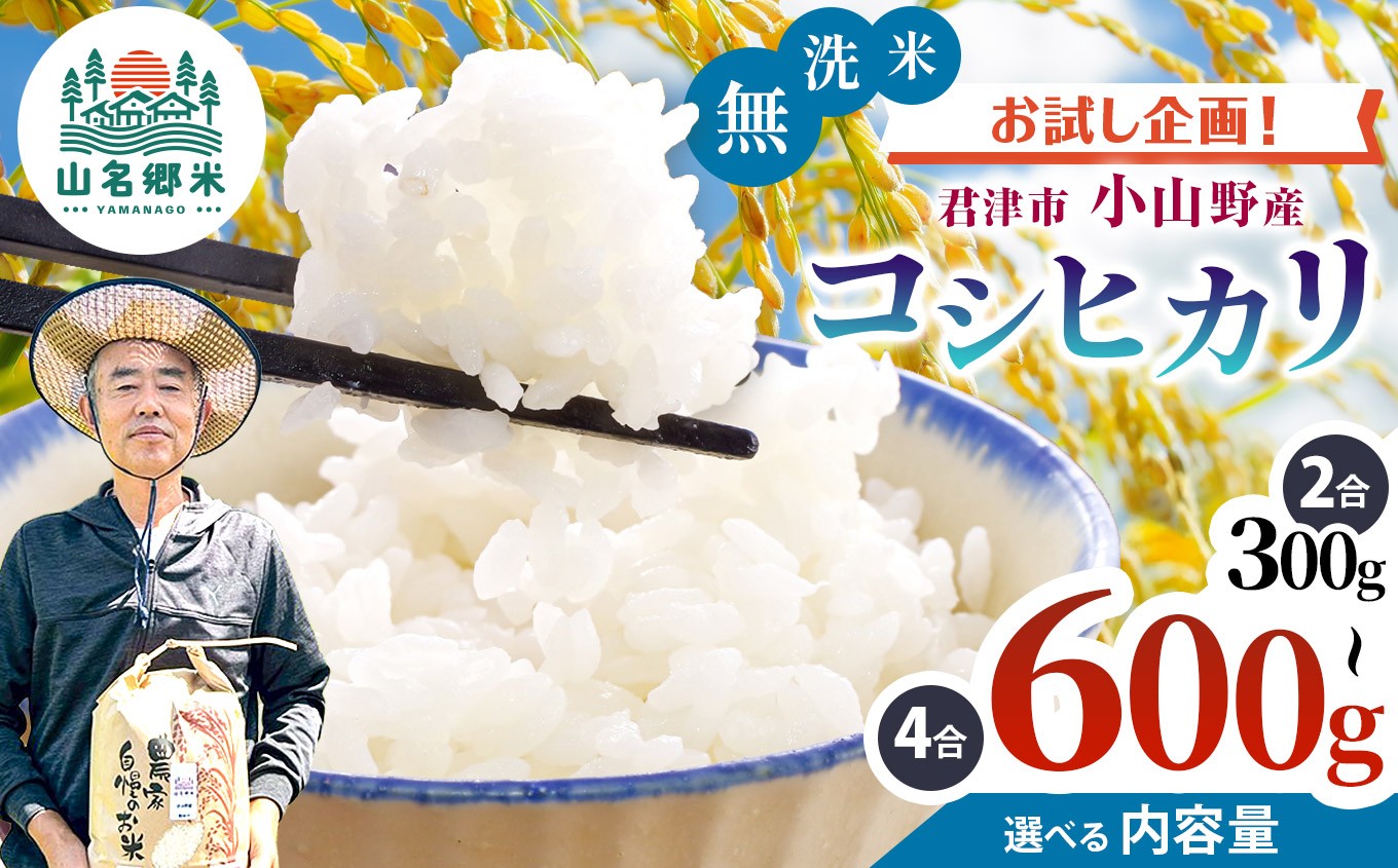 
                  新米 無洗米 令和8年産 君津市小山野産 コシヒカリ 少量 選べる容量 2合 3合 4合 レターパックライト |  あかかげ農園 メディアで紹介 ！ 山名郷米 やまなごう まい 千葉稲作 こしひかり 千葉県産 むせんまい 米 コメ こめ お米 千葉県 君津市 きみつ
                