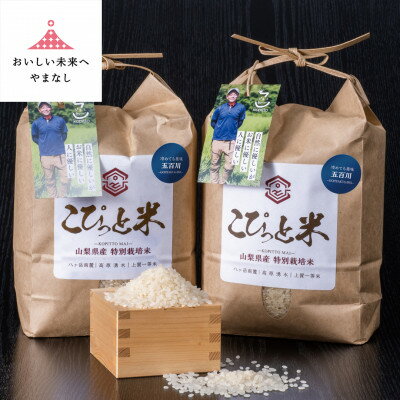 【ふるさと納税】冷めても美味しい!【令和7年産】こぴっと米【五百川】白米・4kg　特別栽培米【配送不可地域：離島】【1652043】