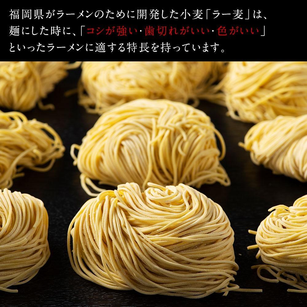 ※受付停止※福岡県産ラー麦麺×博多豚骨スープ！ 濃縮スープ32g×10袋・麺100g×10玉
