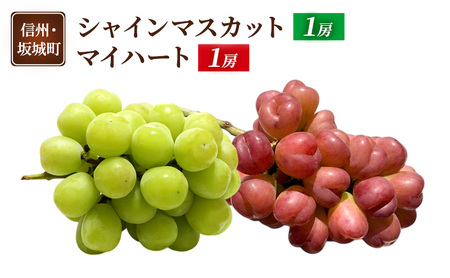 ぶどう詰合せ シャインマスカット マイハート 長野県産 ぶどう詰合せ【各1房】