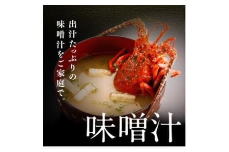 【訳あり】冷凍伊勢海老（小）500g　(3～5尾)【期間限定 数量限定 魚介類 えび 伊勢えび イセエビ 日向灘 訳あり 伊勢海老】