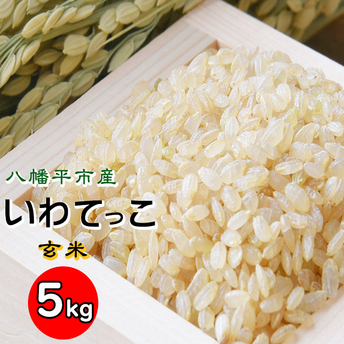 【令和7年産】 いわてっこ 玄米 5kg×1袋 ／ せの畑 こめ 米 コメ お米 おこめ ご飯 ごはん げんまい