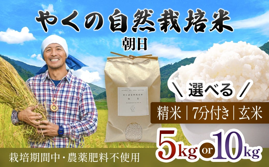 
                  令和8年産先行予約 やくの自然栽培米 朝日 （選べる精米方法・内容量：玄米・7分づき・白米 / 5kg・10kg ）  / 自然栽培米 自然栽培 こめ コメ 米 玄米 7分づき 白米 精米 朝日 あさひ アサヒ お米 ごはん やくの 夜久野 京都府 福知山市 FCEV013-v
                