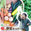 【ふるさと納税】旬の野菜 7品目以上 金賞受賞 旬彩野菜セット 7品目 ×2 レシピ付き お届け 国産 新鮮 農薬不使用 化学肥料不使用 産地直送 こだわり野菜 送料無料