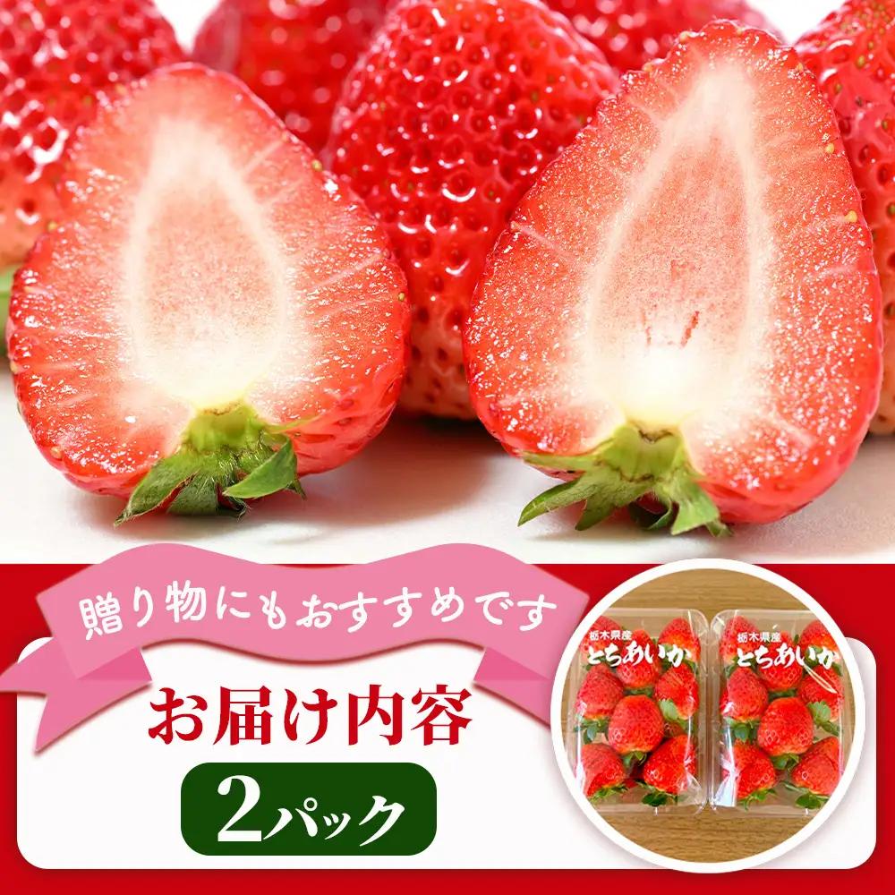 【先行予約】出会いの森いちご園 とちあいか （290g×2パック） | いちご イチゴ 苺 栃木県 果物 くだもの フルーツ とちあいか 新鮮 贈答 ギフト デザート スイーツ ※2026年12月～発