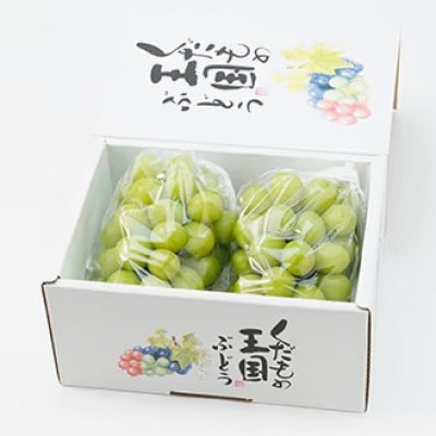 【2026年9月より順次発送】訳あり家庭用　岡山県産 シャインマスカット  1.0kg以上(2房)【配送不可地域：離島】
