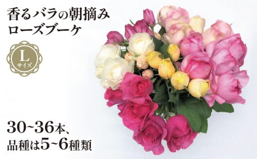 バラ 花束 ブーケ 朝摘み Lサイズ 薔薇 花 ばら 花 パフューム ローズ バラの花束 生花 ギフト 花 プレゼント 祝い 母の日 卒業式 贈り物 贈答 記念日 バラ バラ花束 バラ朝摘み 香りバラ ギフトバラ  静岡県 藤枝市 ( 人気薔薇 ふるさと納税薔薇 ふるさと薔薇 furusato薔薇 おすすめ薔薇 送料無料薔薇 静岡県 藤枝市 )