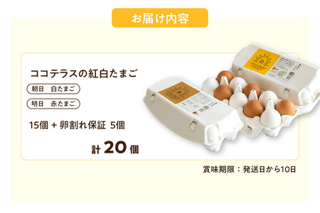 ココテラスの紅白たまご　15個 + 5個保証（計20個）【JGAP認証】 農家直送 新鮮 卵 タマゴ 赤卵 白卵 玉子 鶏卵 朝食 夕食 夜食 朝ごはん たまご焼き だし巻き卵 オムレツ 卵ご飯 料理