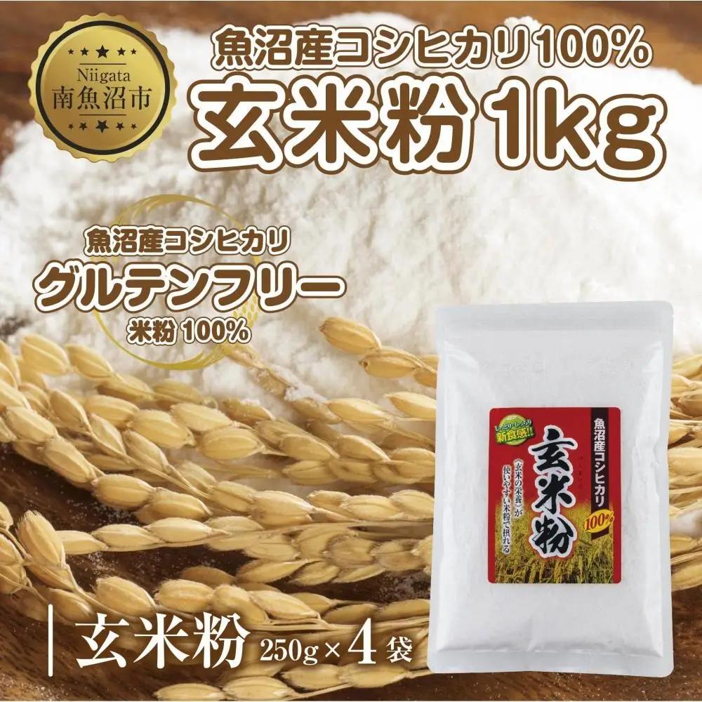 玄米粉 250g×4袋 計1kg 魚沼産 コシヒカリ 玄米 白米粉 グルテンフリー 小麦不使用 GABA アレルギー お取り寄せ パン ケーキ 菓子 ギフト 送料無料 コパフーズ 新潟県 南魚沼市｜こしひかり