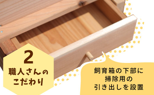 東白川村 日本ミツバチ用飼育箱 日本 ミツバチ 飼育 巣箱 蜂 蜂蜜 ハチミツ 養蜂 自由研究