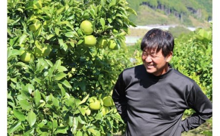 彩り柑橘園 土佐文旦3kg 贈答用 文旦