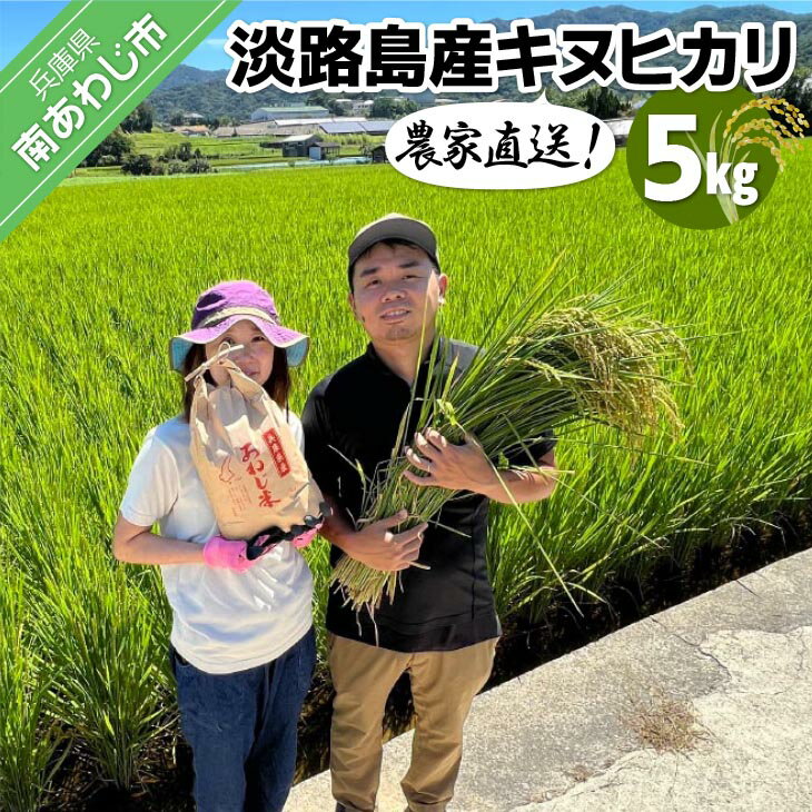 【ふるさと納税】農家直送！【奈良農園】淡路島産キヌヒカリ 5kg