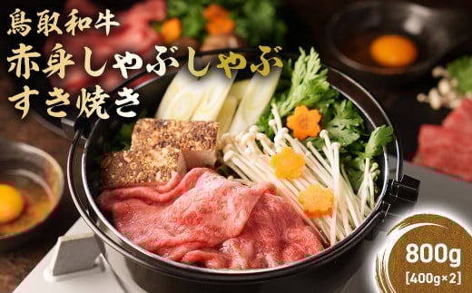 鳥取和牛 赤身 しゃぶしゃぶすき焼き 800g ( 400g × 2 ) 鳥取和牛 赤身 モモ ウデ しゃぶしゃぶ すき焼き 国産 牛肉 ブランド牛 和牛 黒毛和牛 KR1071
