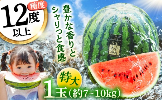 【26年6月以降発送】日田天領 西瓜 (すいか) 1玉 約7kg〜10kg 100サイズ 日田市 / 日田天領西瓜部会 西瓜 すいか スイカ 名産 夏 ブランド 日田 天領  スイカ 糖度 甘い【配送不可地域：北海道・沖縄・離島】 [ARBD001]