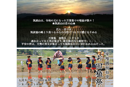 筑波山麓産米を中心に厳選した【茨城県産こしひかり】令和7年産白米5kg B07-014