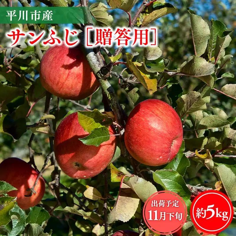 りんご 贈答用サンふじ5kg りんご