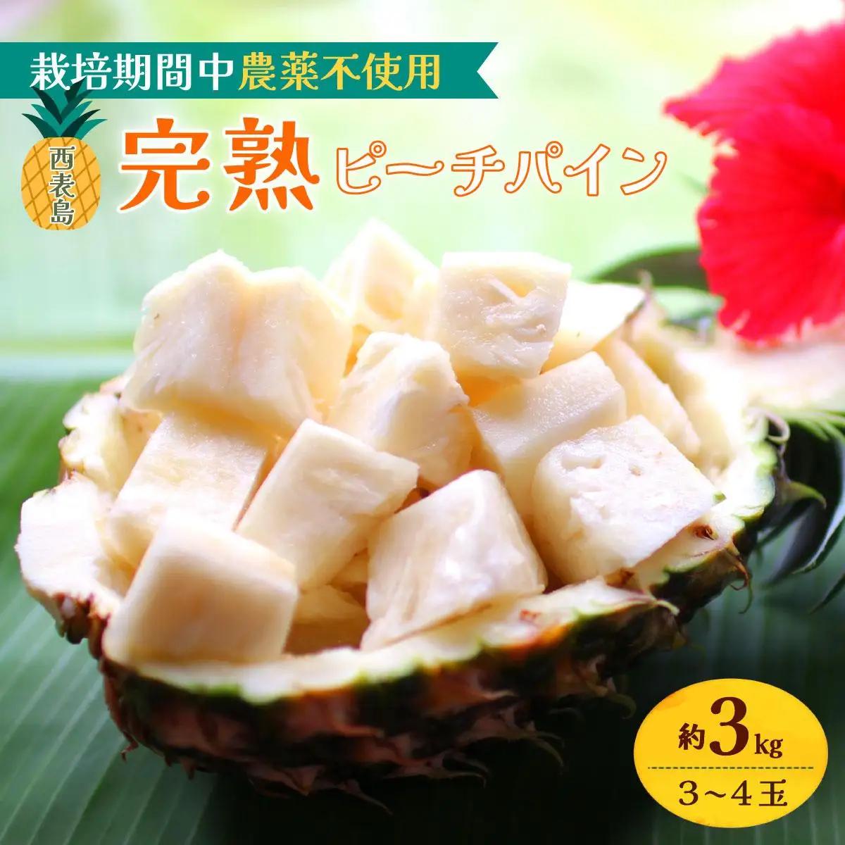 2027年 先行予約 西表島の完熟ピーチパイン 3kg (3～4玉)【嘉本商店 完熟 果物 フルーツ】お届け：5月中旬～6月中旬頃【042-a003】