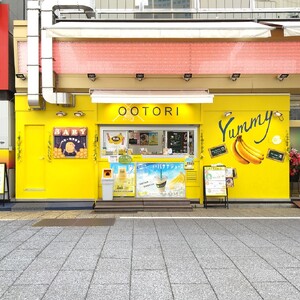 【人気店 新宿OOTORI】極熟★OOTORIバナナの素 100g（10個セット）砂糖不使用 バナナジュース用冷凍バナナ 0033-002-S05