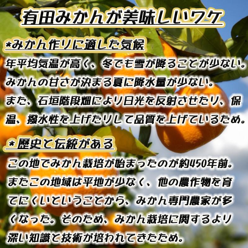 有田みかん 特秀品小玉S～M 約5kg 高糖度 2024年10月以降順次発送