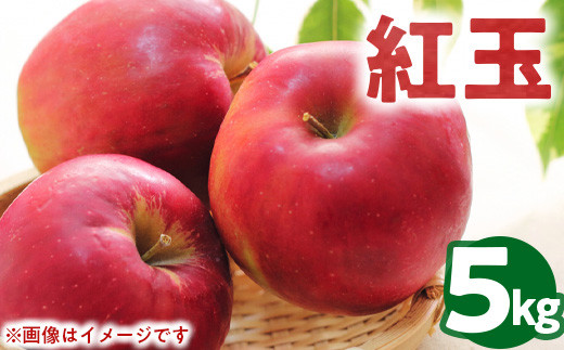 50-B 伊藤りんご園 紅玉 5kg | りんご リンゴ 林檎 果物 くだもの フルーツ 産地直送 先行受付 5kg 福島県 会津坂下町 ※2026年10月～発送
