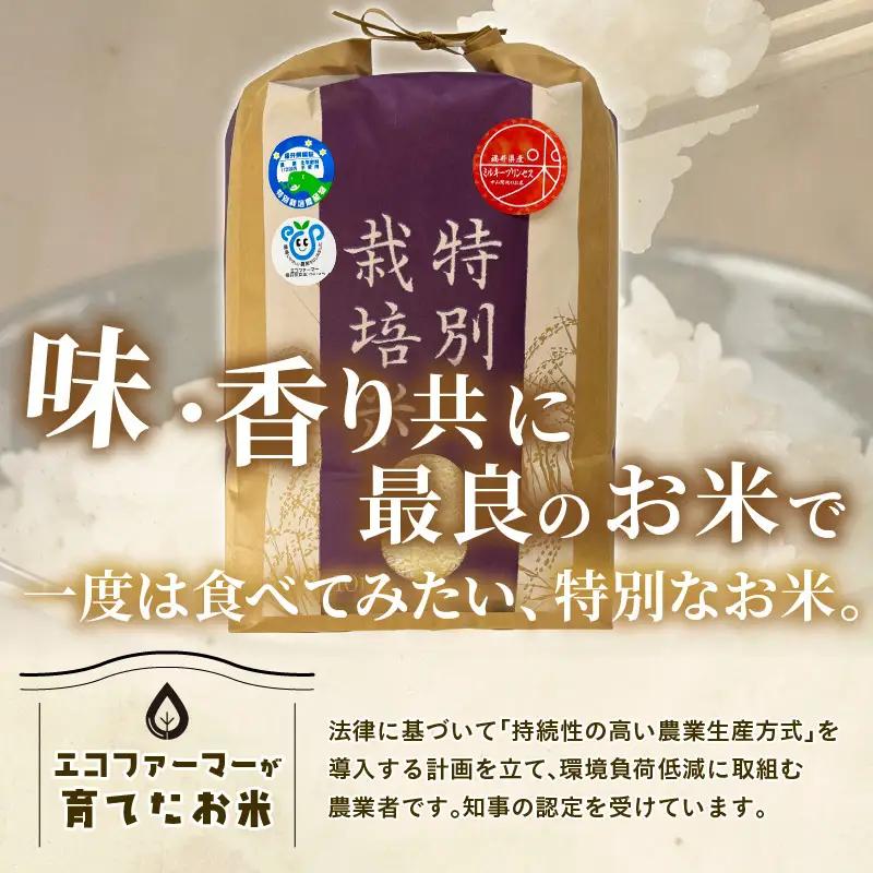 【令和7年産】化学肥料不使用 特別栽培米 ミルキープリンセス 精米 10kg × 1袋 / 白米 米 福井県あわら市産 美味しい 特別栽培米 減農薬 安心な米 旨味 甘み もっちり 冷蔵保管米 [aw
