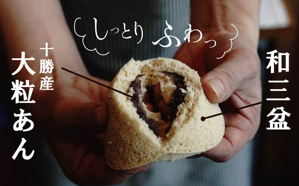【蒸しどら3種 10個入 】和三盆 プレーン×5 抹茶×3 コーヒー×2 どら焼き 和菓子 餡 ふわふわ しっとり食感 H181-003