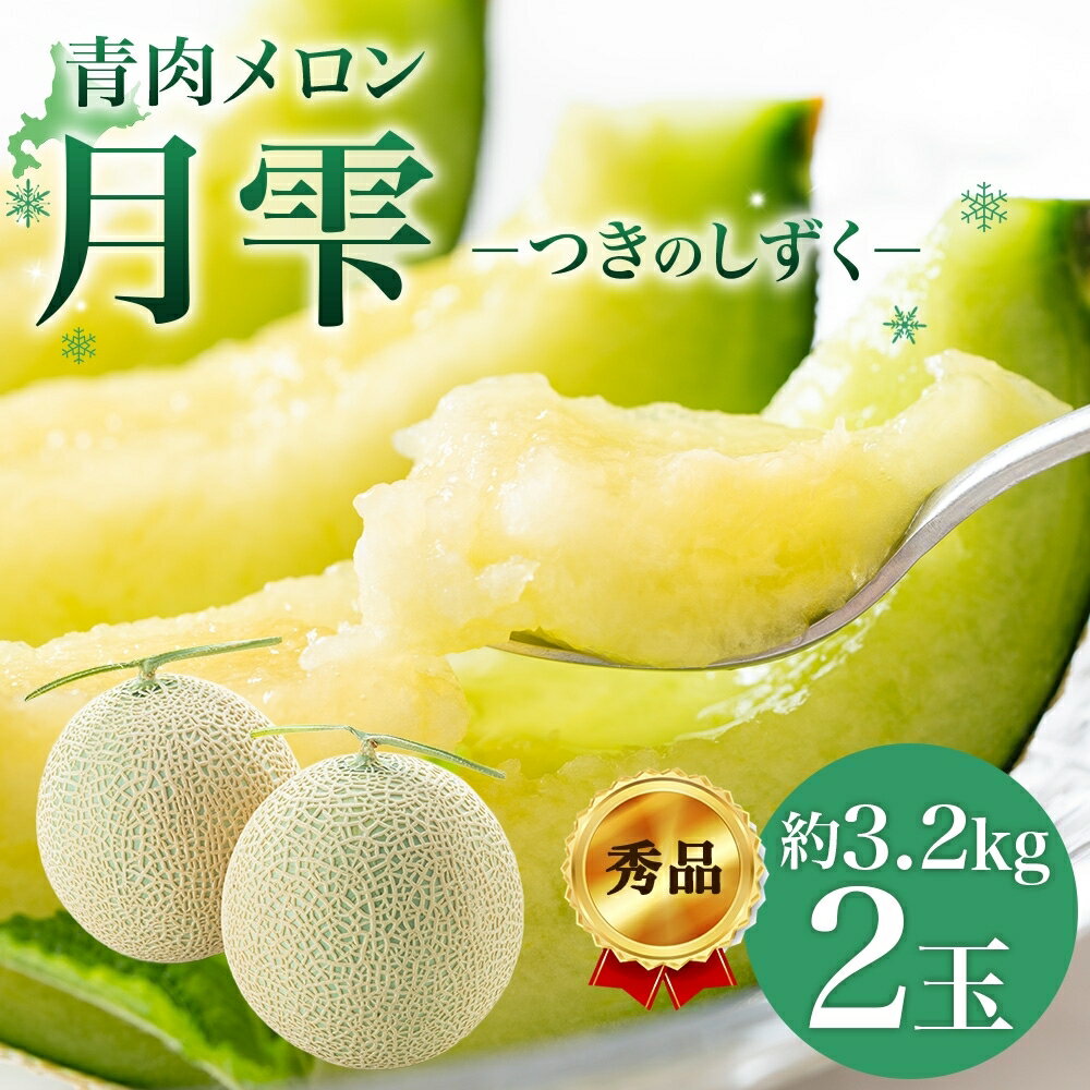 【ふるさと納税】【2026年夏発送】北海道 青肉メロン 月雫 秀品 2玉 約1.6kg 計約3.2kg以上 令和8年 メロン 果物 フルーツ 旬 季節 希少 甘い 豊潤 国産 北海道産 デザート ご褒美 産地直送 ギフト お祝い 贈答品 贈り物 お取寄　お届け：7月上旬から7月末に順次発送