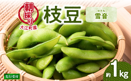 《先行受付》枝豆（雪音）約1kg【2025年8月末より順次発送予定】  022-004