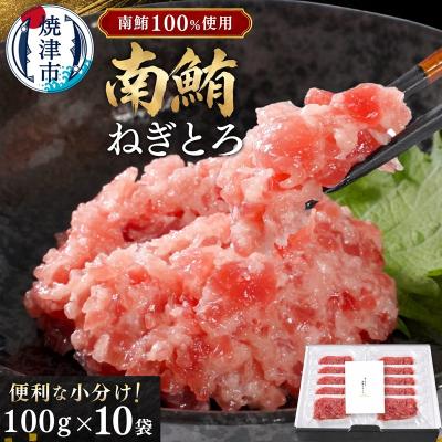 ふるさと納税 焼津市 天然 海のダイヤ 南鮪 ネギトロ 約100g×10(a30-269)