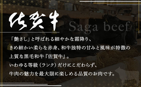 佐賀牛サーロインステーキ・佐賀牛柔らかハンバーグステーキ（計720g） 佐賀 大町町 肉 お肉 牛肉 サーロイン ステーキ 焼肉 贈答 ブランド牛 国産 霜降り ギフト グルメ 国産牛 特産品 お祝い