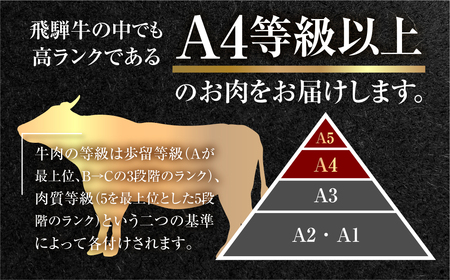 飛騨牛 焼肉 250g×4種 食べ比べ セット 1kg 3～5人前 焼き肉 もも ロース バラ 肩ロース バーベキュー BBQ JAひだ[S202]