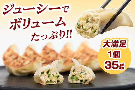 肉と野菜の究極のバランス『宇都宮AQ餃子』2.1kg｜餃子 ぎょうざ ギョーザ ビッグ餃子 大容量 冷凍 国産野菜 国産豚肉 おかず グルメ 簡単調理 お手軽 日光市 栃木県 栄久食品 [0654]