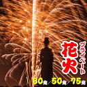 【ふるさと納税】花火 プライベート花火 個人向け 打ち上げ花火 おすすめ 2～4号玉 計30発 誕生日 記念日 プロポーズ 結婚 結婚記念日 還暦祝い 入学祝い 卒業祝い お祝い サプライズ プレゼント 千葉県 富津市 立石煙火製造所 体験 思い出