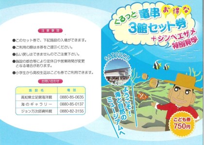 水族館・資料館・展示館　ぐるっと竜串　お得な3館入場券セット（小学生～高校生までの子供２名用）【R00115】