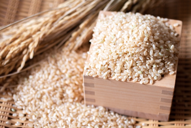 木島平産 有機JAS コシヒカリ 玄米 約10kg | 米 玄米 精米 特別栽培米 コシヒカリ こしひかり お米 おこめ 有機JAS 長野県 木島平村 信州