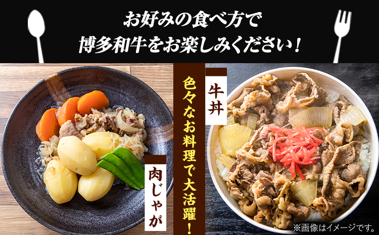 博多和牛切り落とし 1.2kg (600ｇ×2パック)《30日以内に出荷予定(土日祝除く)》 博多和牛 株式会社MEAT PLUS 牛肉 牛肩 バラ A4ランク 以上使用 厳選---kari---