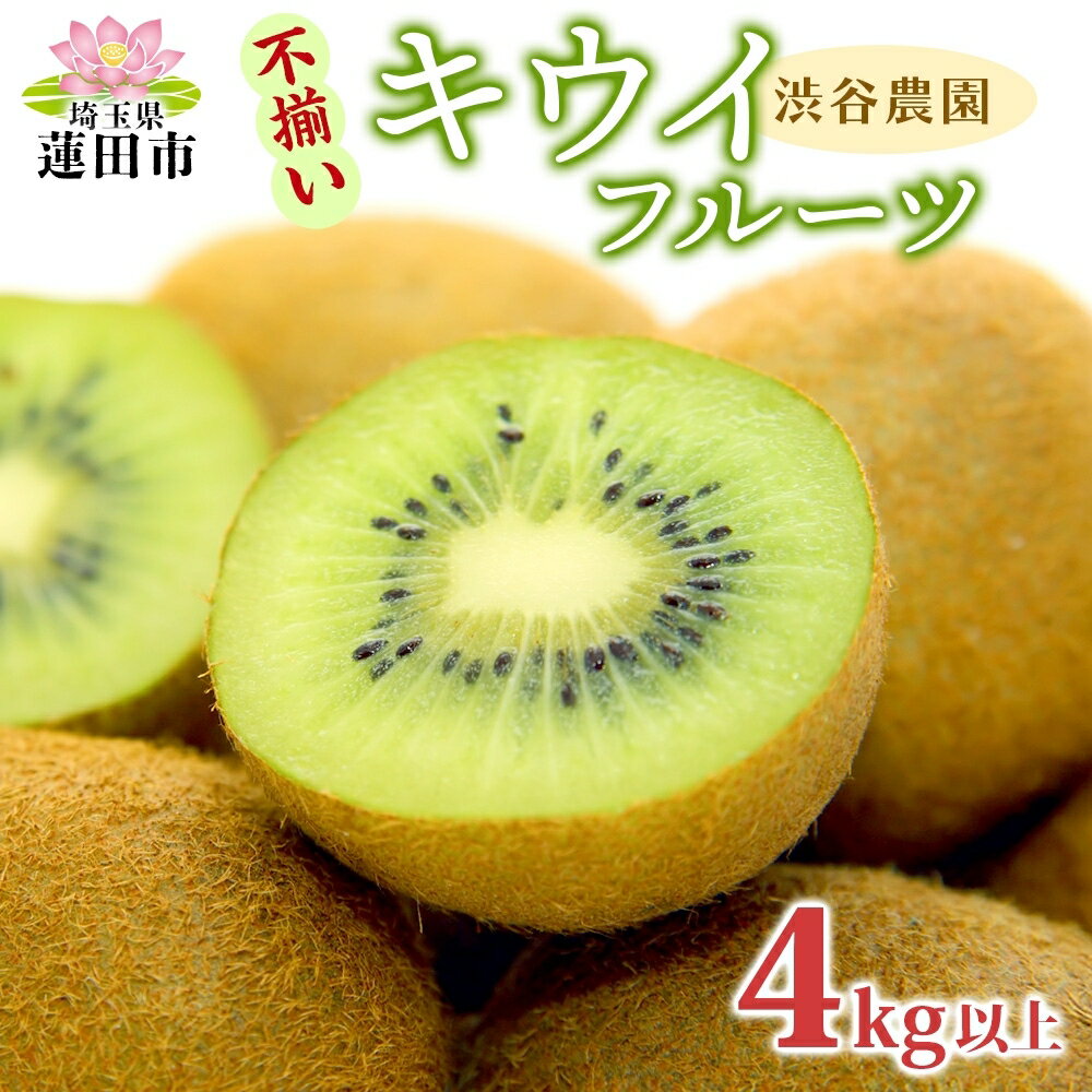 【ふるさと納税】キウイフルーツ (グリーン) 不揃い 4kg以上【 埼玉県 蓮田産 】 果物 訳あり 甘さと酸味のバランスの良いキウイ 　お届け：2025年12月上旬から順次開始