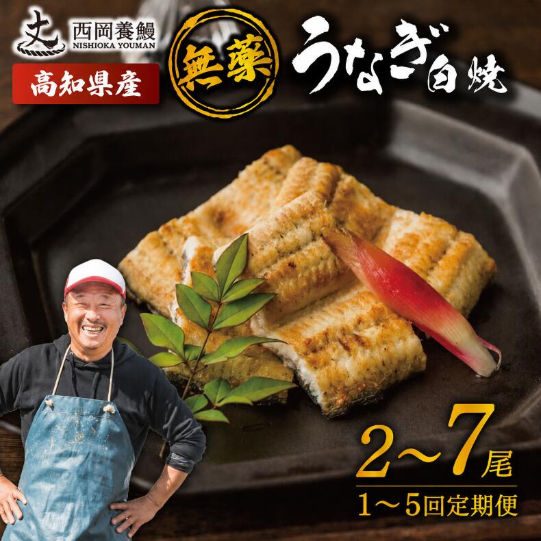 【ふるさと納税】 完全無投薬 鰻白焼 国産 うなぎ白焼 2尾 ~ 7尾 1回 / 定期便 2～5回 鰻 厳選 無薬 うなぎ 白焼き 白やき 国産うなぎ 国産鰻 人気 鰻白焼き 特製タレ 山椒 セット 湯煎 簡単調理 うな重 土用の丑の日 ギフト 贈り物 贈答 お中元 お歳暮 お取り寄せ グルメ